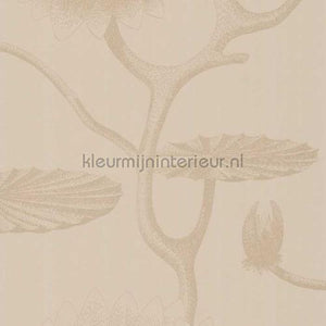Cole and Son Contemporary Restyled 95-4019 | Bestellen bij https://www.kleurmijninterieur.nl/