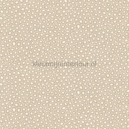 Cole and Son Ardmore 109-6030 | Bestellen bij https://www.kleurmijninterieur.nl/