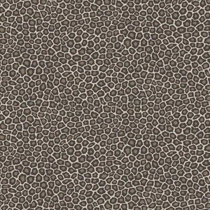 Cole and Son Ardmore 109-6031 | Bestellen bij https://www.kleurmijninterieur.nl/