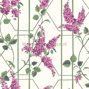 Cole and Son Botanical 115-5013 | Bestellen bij https://www.kleurmijninterieur.nl/