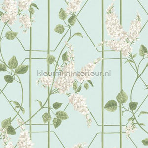 Cole and Son Botanical 115-5014 | Bestellen bij https://www.kleurmijninterieur.nl/