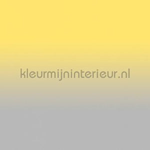 AS Creation Walls by Patel 3 DD122660 | Bestellen bij https://www.kleurmijninterieur.nl/