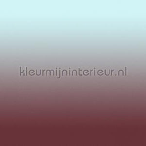 AS Creation Walls by Patel 3 DD122668 | Bestellen bij https://www.kleurmijninterieur.nl/