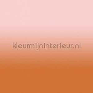 AS Creation Walls by Patel 3 DD122672 | Bestellen bij https://www.kleurmijninterieur.nl/