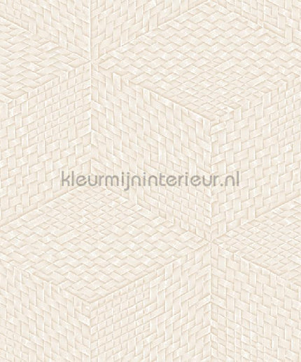 Dutch Wallcoverings Exclusive Threads TP422952 | Bestellen bij https://www.kleurmijninterieur.nl/