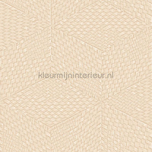 Dutch Wallcoverings Exclusive Threads TP422955 | Bestellen bij https://www.kleurmijninterieur.nl/