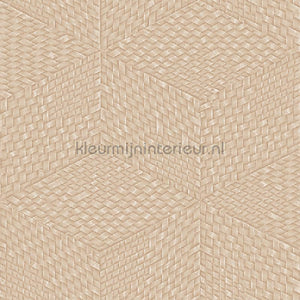Dutch Wallcoverings Exclusive Threads TP422956 | Bestellen bij https://www.kleurmijninterieur.nl/
