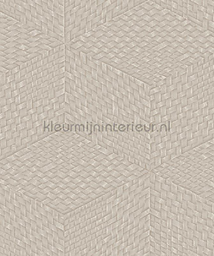 Dutch Wallcoverings Exclusive Threads TP422954 | Bestellen bij https://www.kleurmijninterieur.nl/