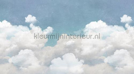 Rebel Walls Passion r14011 | Bestellen bij https://www.kleurmijninterieur.nl/