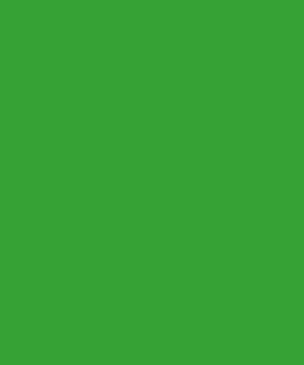 200-2901 DC-Fix Plakfolie Uni groen appel ral 6018* mat / zijdeglans 45cm breed