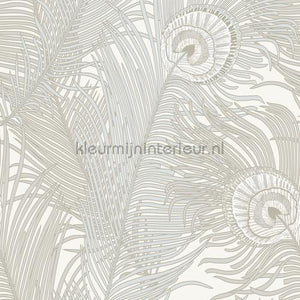 Hookedonwalls Leopard Walk 15341 | Bestellen bij https://www.kleurmijninterieur.nl/