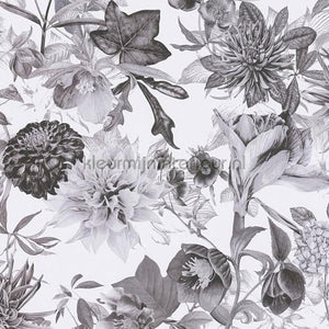 AS Creation Dream Flowery 381753 | Bestellen bij https://www.kleurmijninterieur.nl/