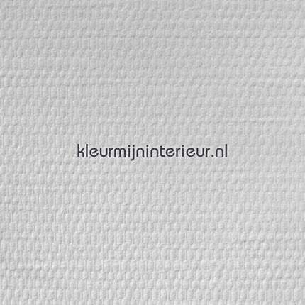 Dutch Wallcoverings 12008 | Bestellen bij https://www.kleurmijninterieur.nl/