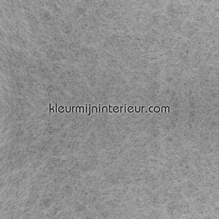 Dutch Wallcoverings 160 | Bestellen bij https://www.kleurmijninterieur.nl/