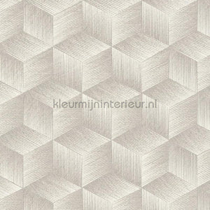 AS Creation Natural Living 38506-1 | Bestellen bij https://www.kleurmijninterieur.nl/