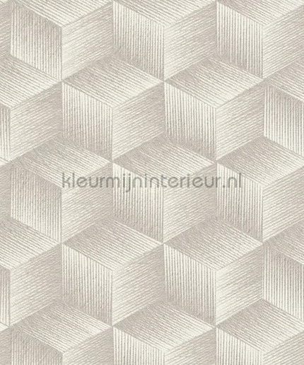 AS Creation Natural Living 38506-1 | Bestellen bij https://www.kleurmijninterieur.nl/