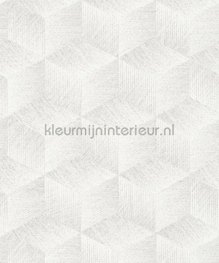 AS Creation Natural Living 38506-2 | Bestellen bij https://www.kleurmijninterieur.nl/