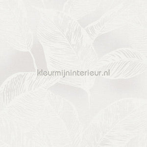 AS Creation Natural Living 38663-2 | Bestellen bij https://www.kleurmijninterieur.nl/