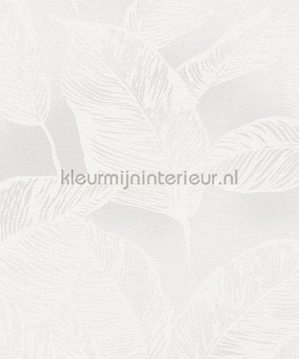 AS Creation Natural Living 38663-2 | Bestellen bij https://www.kleurmijninterieur.nl/