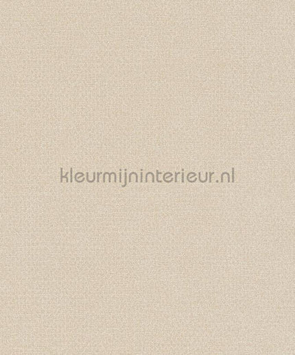AS Creation Natural Living 38662-1 | Bestellen bij https://www.kleurmijninterieur.nl/