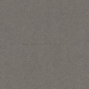 AS Creation Natural Living 38662-3 | Bestellen bij https://www.kleurmijninterieur.nl/