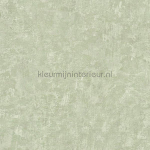 AS Creation Natural Living 38639-2 | Bestellen bij https://www.kleurmijninterieur.nl/