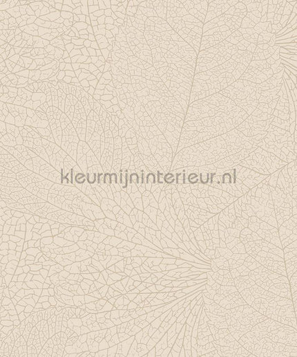 Eijffinger Embrace 324040 | Bestellen bij https://www.kleurmijninterieur.nl/