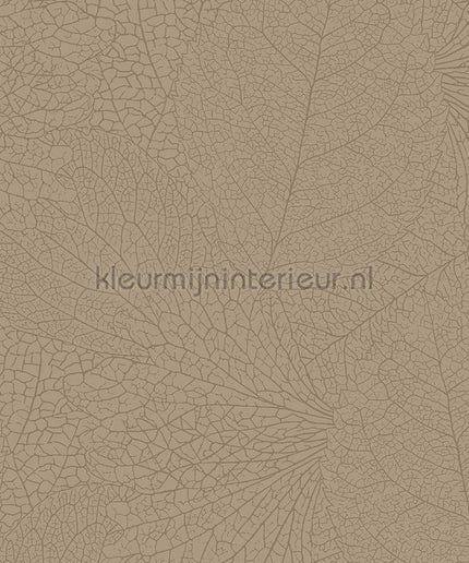 Eijffinger Embrace 324041 | Bestellen bij https://www.kleurmijninterieur.nl/