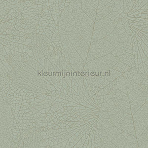 Eijffinger Embrace 324045 | Bestellen bij https://www.kleurmijninterieur.nl/