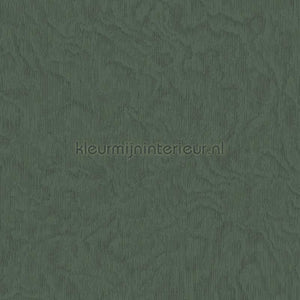 Eijffinger Embrace 324055 | Bestellen bij https://www.kleurmijninterieur.nl/