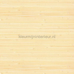 Eijffinger Natural Wallcoverings III 303536 | Bestellen bij https://www.kleurmijninterieur.nl/