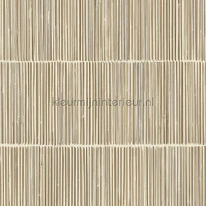 Eijffinger Terra 391513 | Bestellen bij https://www.kleurmijninterieur.nl/