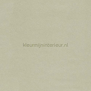 Eijffinger Topaz 394503 | Bestellen bij https://www.kleurmijninterieur.nl/