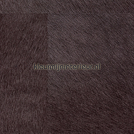 Elitis Memoires VP-625-37 | Bestellen bij https://www.kleurmijninterieur.nl/
