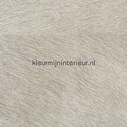 Elitis Memoires VP-625-04 | Bestellen bij https://www.kleurmijninterieur.nl/