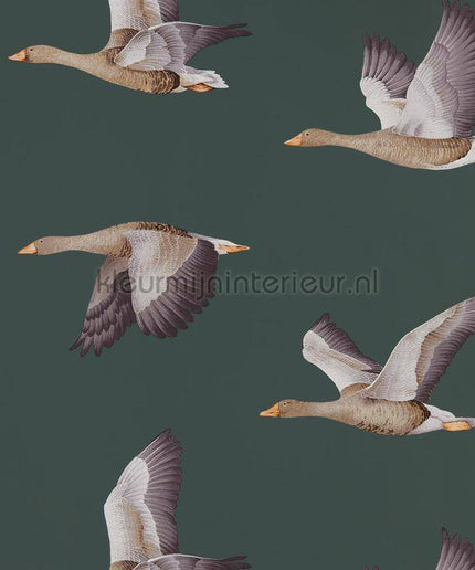 Sanderson Arboretum DYSI216608 | Bestellen bij https://www.kleurmijninterieur.nl/