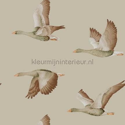 Sanderson Elysian 216609 | Bestellen bij https://www.kleurmijninterieur.nl/