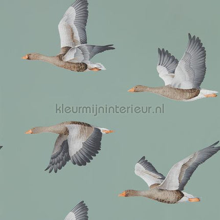 Sanderson Elysian 216610 | Bestellen bij https://www.kleurmijninterieur.nl/