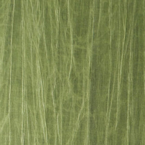 Iguana | kleurmijninterieur