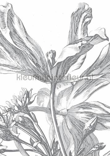 Kek Amsterdam Flora en Fauna wp-329 | Bestellen bij https://www.kleurmijninterieur.nl/