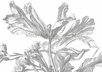 Kek Amsterdam Flora en Fauna wp-337 | Bestellen bij https://www.kleurmijninterieur.nl/