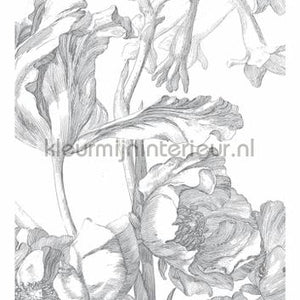Kek Amsterdam Golden Age Flowers WP-327 | Bestellen bij https://www.kleurmijninterieur.nl/