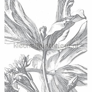 Kek Amsterdam Golden Age Flowers WP-329 | Bestellen bij https://www.kleurmijninterieur.nl/