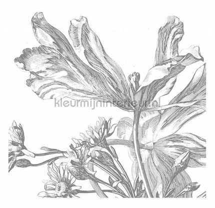 Kek Amsterdam Golden Age Flowers WP-333 | Bestellen bij https://www.kleurmijninterieur.nl/