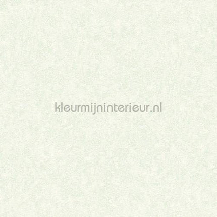 Versace wallpaper Versace 3 935827 | Bestellen bij https://www.kleurmijninterieur.nl/