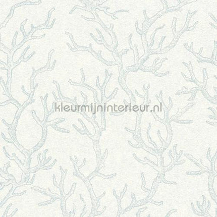Versace wallpaper Versace 3 344972 | Bestellen bij https://www.kleurmijninterieur.nl/