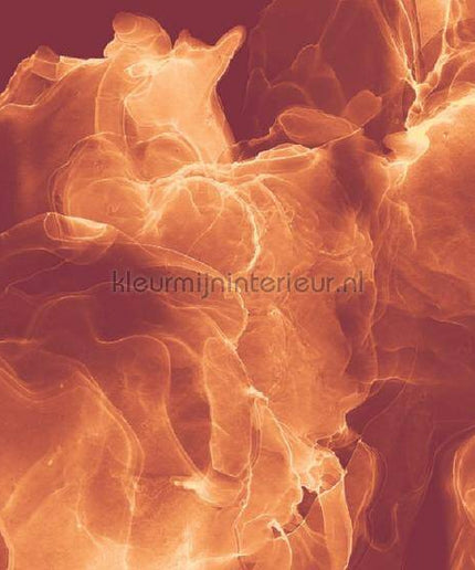Komar INK INX8-073 | Bestellen bij https://www.kleurmijninterieur.nl/