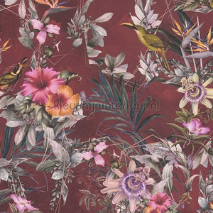 AS Creation Dream Flowery 381785 | Bestellen bij https://www.kleurmijninterieur.nl/