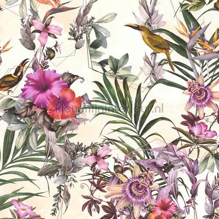 AS Creation Dream Flowery 381786 | Bestellen bij https://www.kleurmijninterieur.nl/