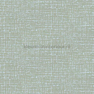 Dutch Wallcoverings Embellish DE120103 | Bestellen bij https://www.kleurmijninterieur.nl/